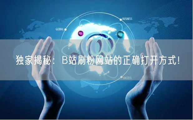 独家揭秘：B站刷粉网站的正确打开方式！