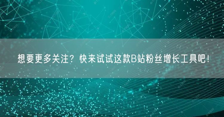 想要更多关注？快来试试这款B站粉丝增长工具吧！