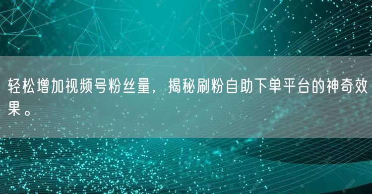 轻松增加视频号粉丝量，揭秘刷粉自助下单平台的神奇效果。