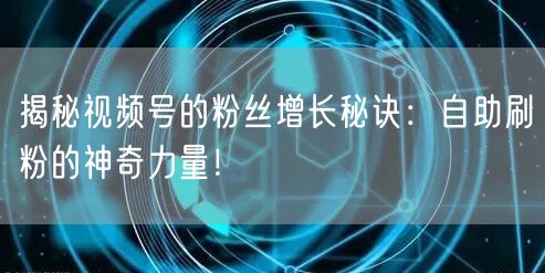 揭秘视频号的粉丝增长秘诀：自助刷粉的神奇力量！