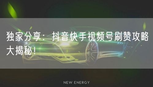 独家分享：抖音快手视频号刷赞攻略大揭秘！