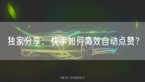独家分享：快手如何高效自动点赞？