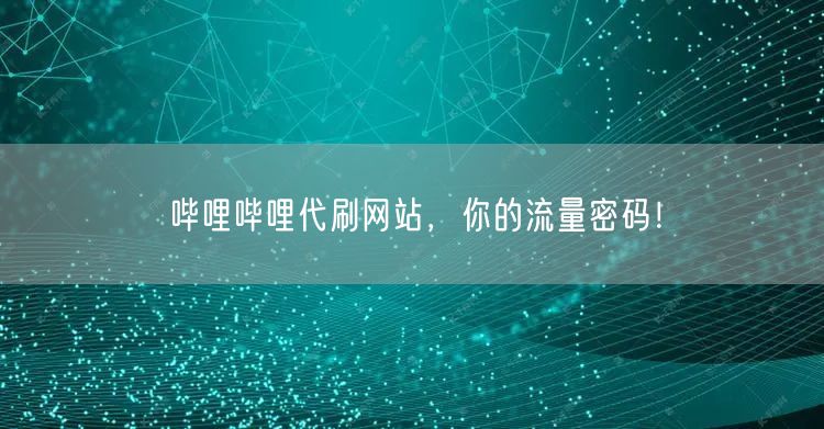 哔哩哔哩代刷网站，你的流量密码！