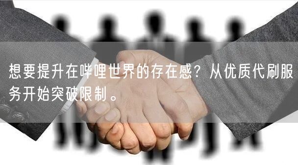 想要提升在哔哩世界的存在感？从优质代刷服务开始突破限制。
