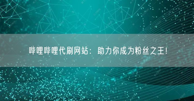 哔哩哔哩代刷网站：助力你成为粉丝之王！