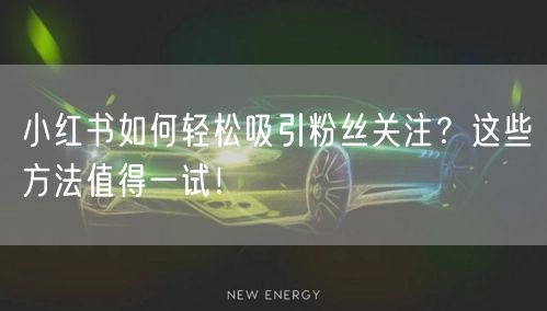 小红书如何轻松吸引粉丝关注？这些方法值得一试！