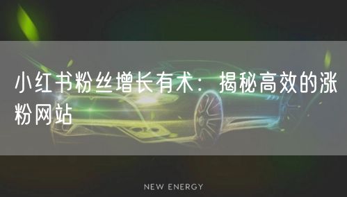 小红书粉丝增长有术：揭秘高效的涨粉网站