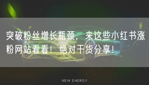 突破粉丝增长瓶颈，来这些小红书涨粉网站看看！绝对干货分享！
