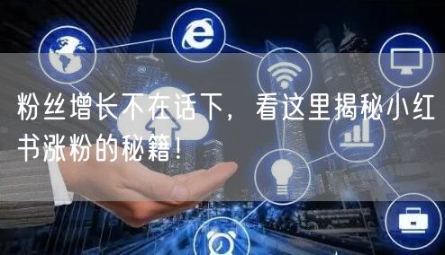 粉丝增长不在话下，看这里揭秘小红书涨粉的秘籍！