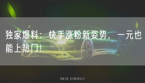 独家爆料：快手涨粉新姿势，一元也能上热门！