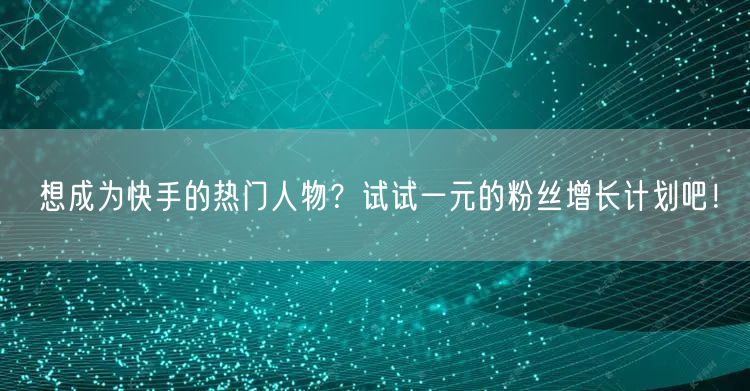 想成为快手的热门人物？试试一元的粉丝增长计划吧！