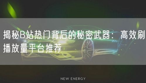 揭秘B站热门背后的秘密武器：高效刷播放量平台推荐