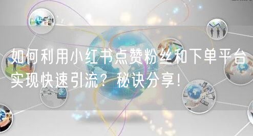 如何利用小红书点赞粉丝和下单平台实现快速引流？秘诀分享！