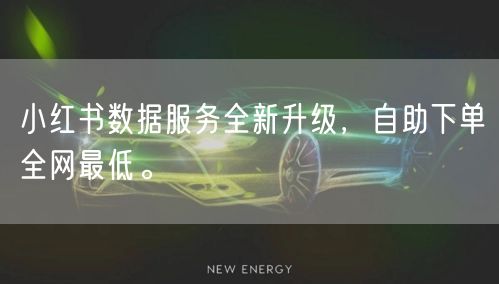 小红书数据服务全新升级，自助下单全网最低。
