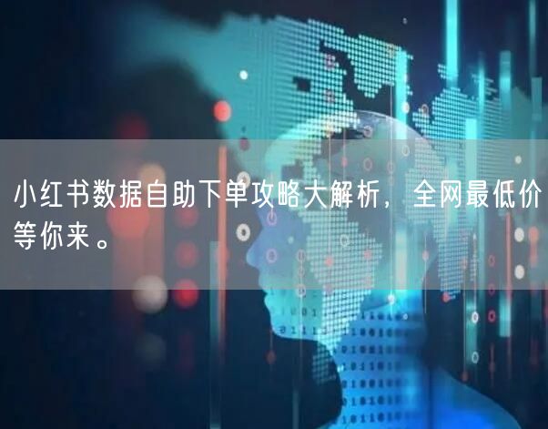 小红书数据自助下单攻略大解析，全网最低价等你来。