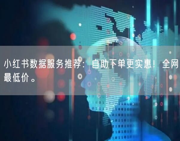 小红书数据服务推荐：自助下单更实惠！全网最低价。