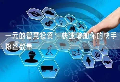 一元的智慧投资：快速增加你的快手粉丝数量