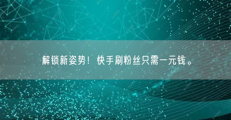 解锁新姿势！快手刷粉丝只需一元钱。
