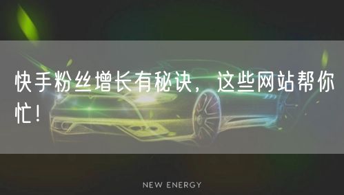 快手粉丝增长有秘诀，这些网站帮你忙！