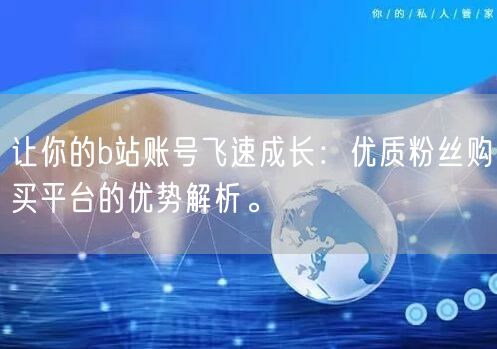 让你的b站账号飞速成长：优质粉丝购买平台的优势解析。