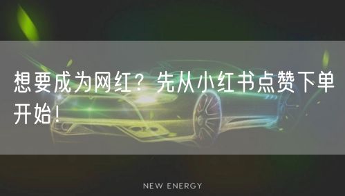 想要成为网红？先从小红书点赞下单开始！