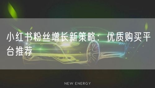 小红书粉丝增长新策略：优质购买平台推荐