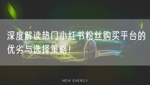 深度解读热门小红书粉丝购买平台的优劣与选择策略！