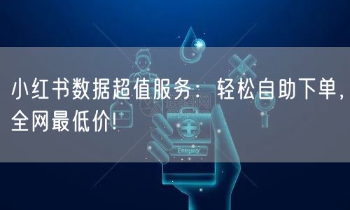 小红书数据超值服务：轻松自助下单，全网最低价!