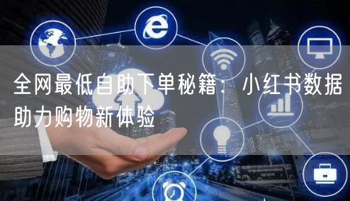 全网最低自助下单秘籍：小红书数据助力购物新体验