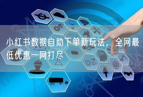 小红书数据自助下单新玩法,全网最低优惠一网打尽