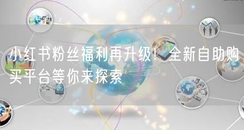 小红书粉丝福利再升级！全新自助购买平台等你来探索