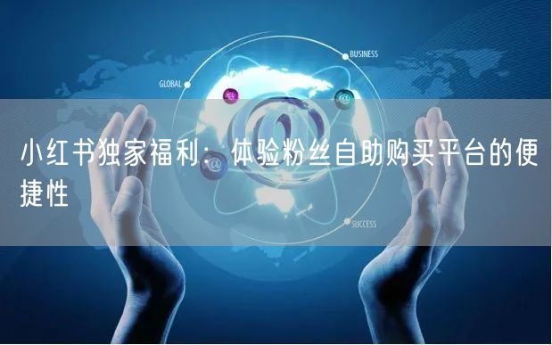 小红书独家福利：体验粉丝自助购买平台的便捷性