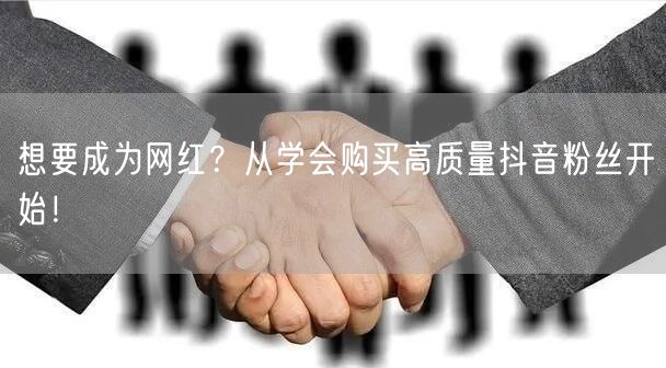 想要成为网红？从学会购买高质量抖音粉丝开始！